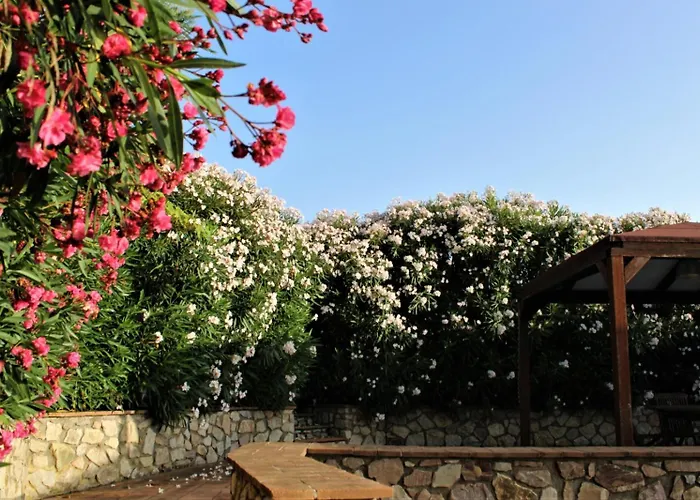 Les Oliviers ポルト・アッズッロ