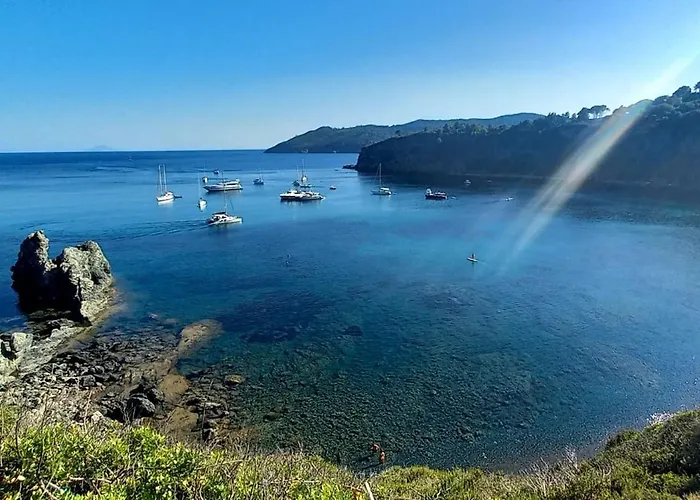 Les Oliviers アパートホテル ポルト・アッズッロ