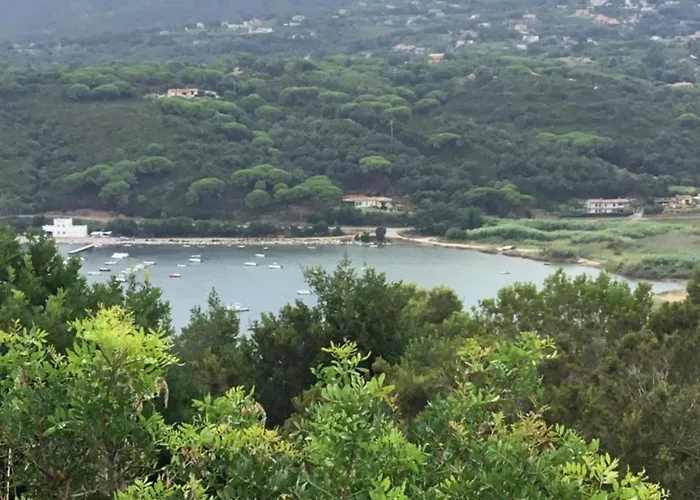 Les Oliviers アパートホテル